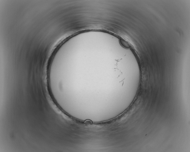X0000113331088200910051141