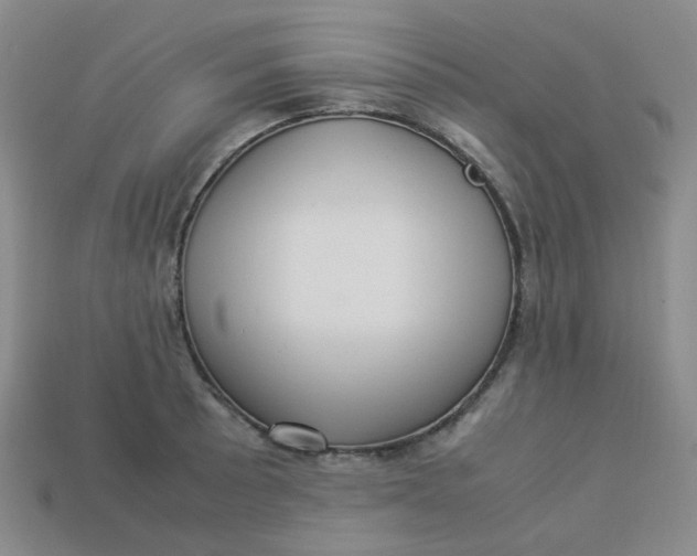 X0000113331089200910051141