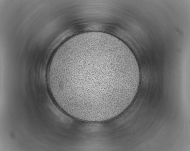 X0000113331090200910051141