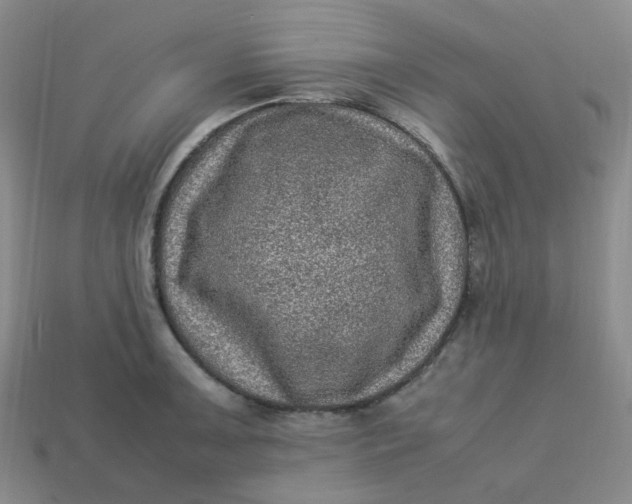 X0000113331091200910051141