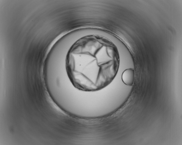 X0000113331092200910051141