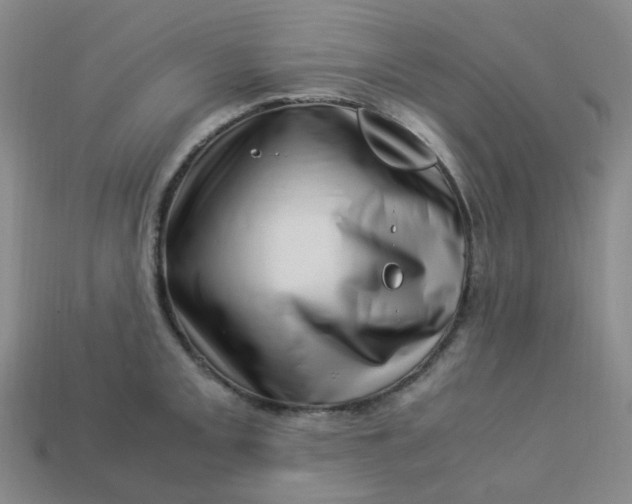X0000113331093200910051141