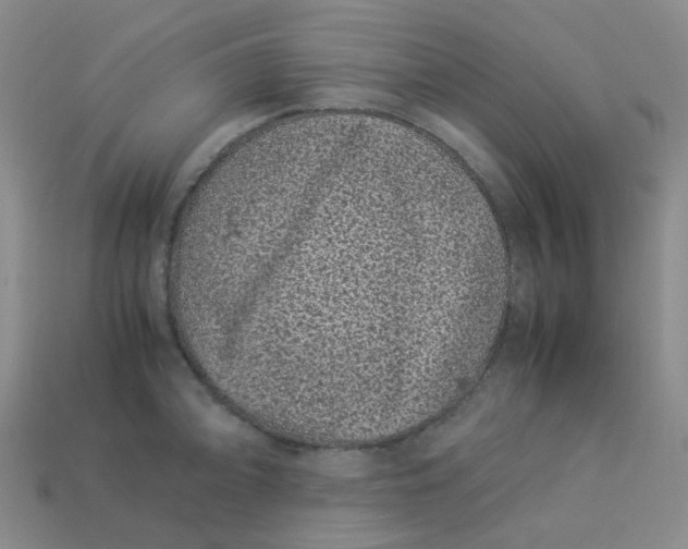 X0000113331094200910051141