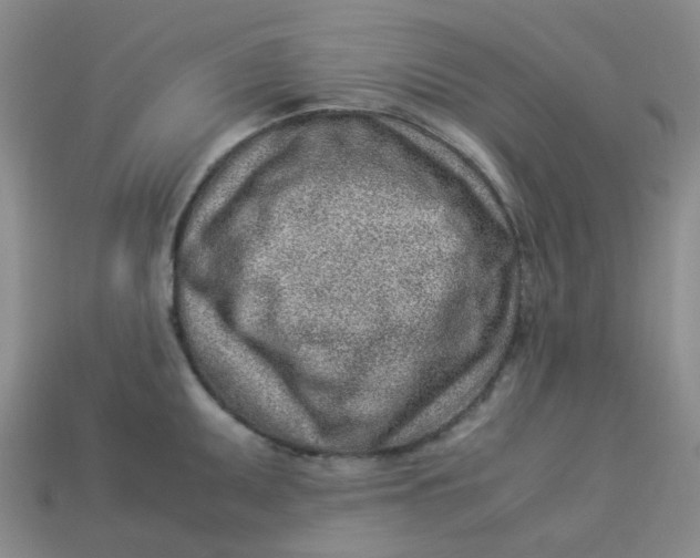 X0000113331095200910051141