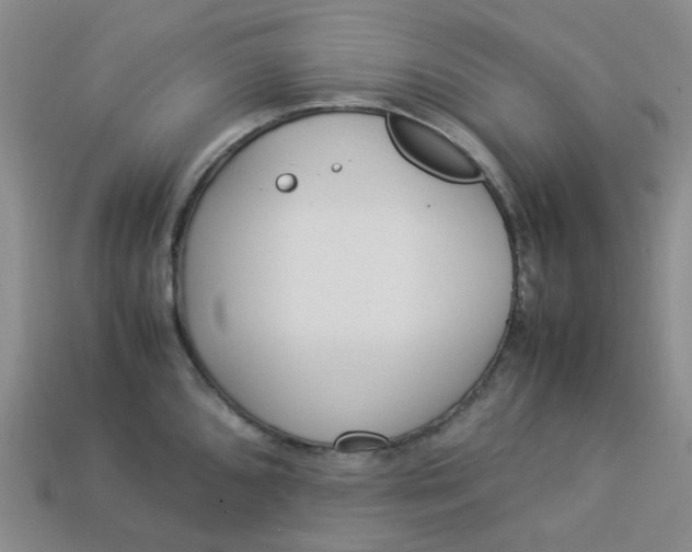 X0000113331096200910051141