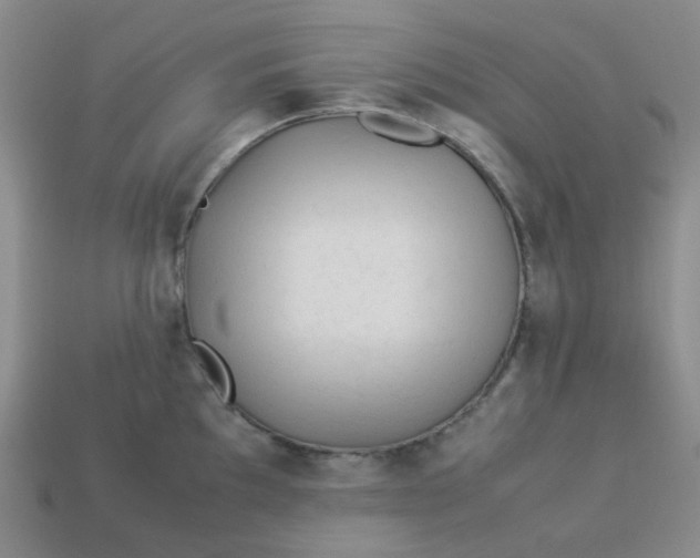 X0000113331097200910051141