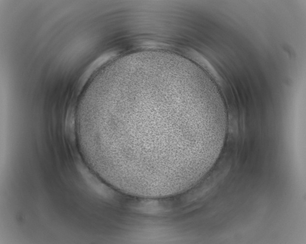 X0000113331098200910051141