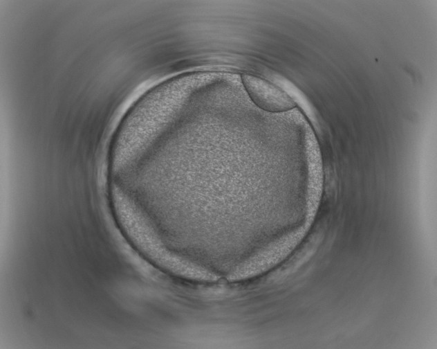 X0000113331099200910051141