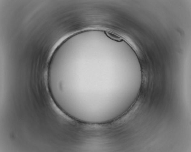 X0000113331100200910051141
