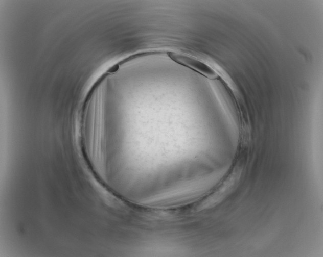 X0000113331101200910051141