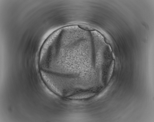 X0000113331102200910051141