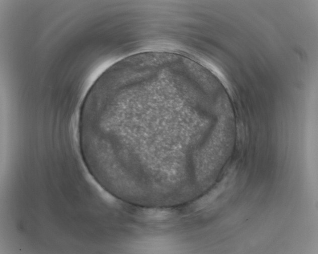 X0000113331103200910051141