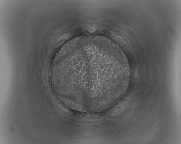 X0000113331105200910051140