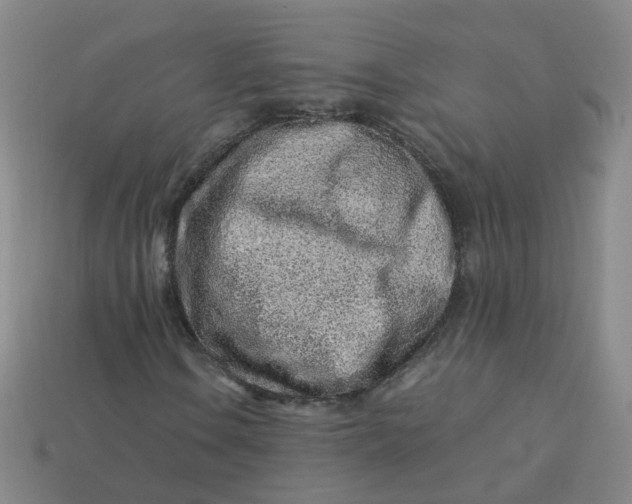 X0000113331106200910051140
