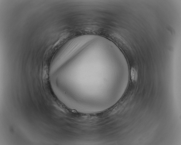 X0000113331107200910051140