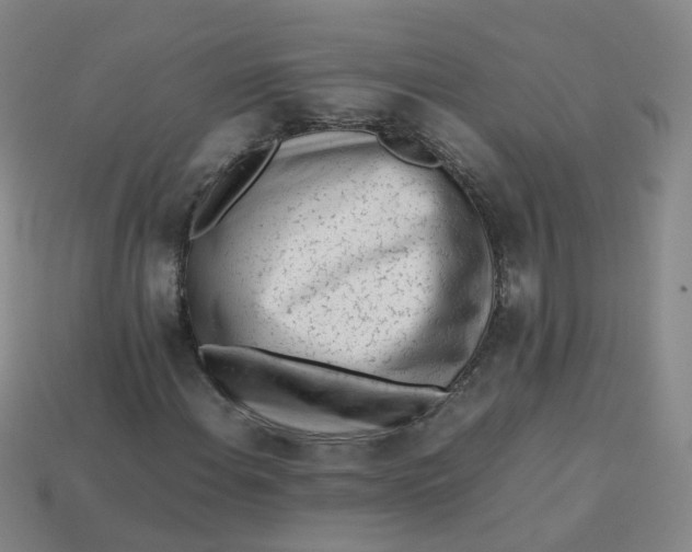 X0000113331108200910051140