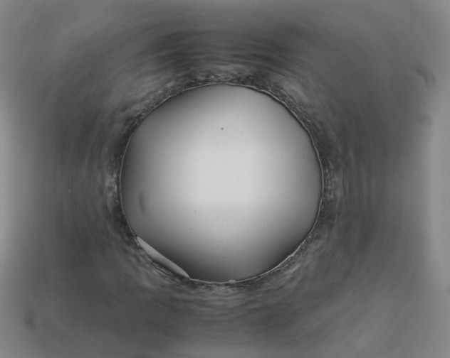 X0000113331109200910051140