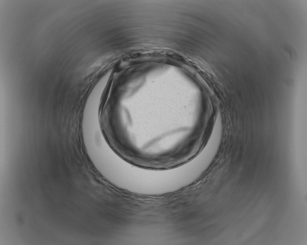 X0000113331110200910051140