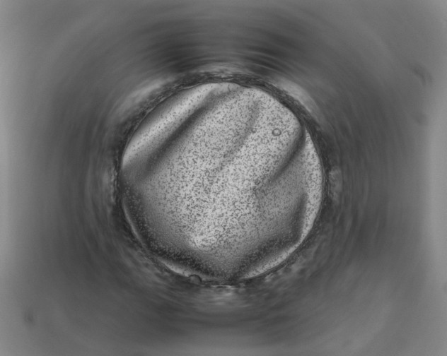 X0000113331111200910051140