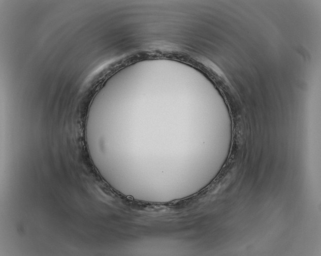 X0000113331112200910051140