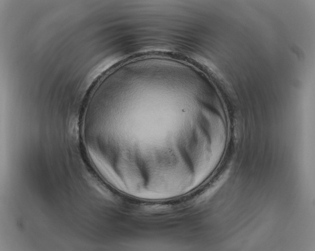 X0000113331113200910051140