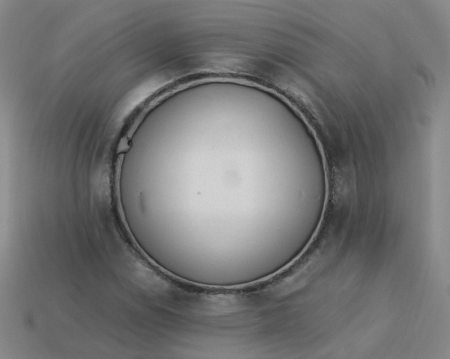 X0000113331114200910051140