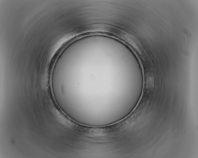 X0000113331116200910051140
