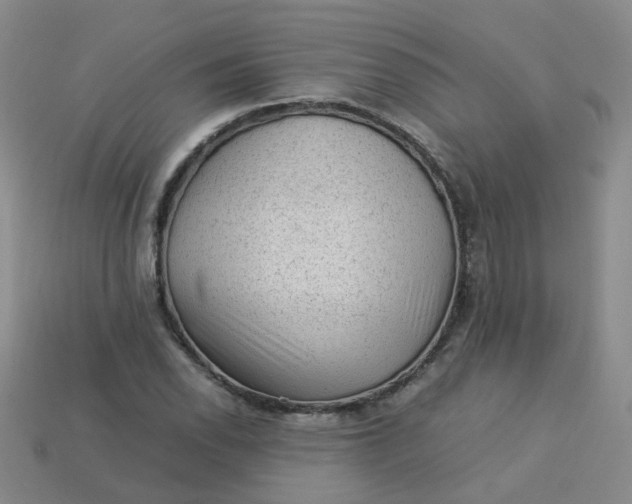 X0000113331118200910051140