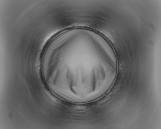 X0000113331119200910051140