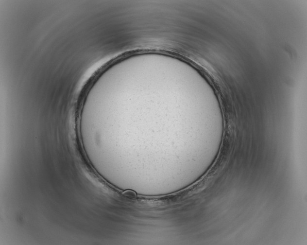 X0000113331120200910051140
