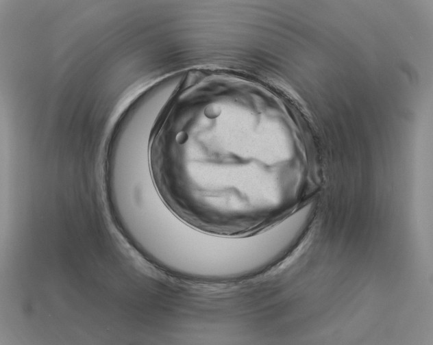 X0000113331122200910051140