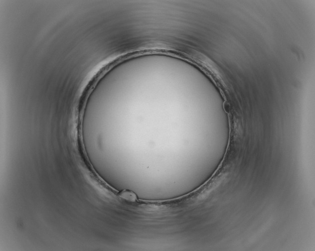 X0000113331124200910051140