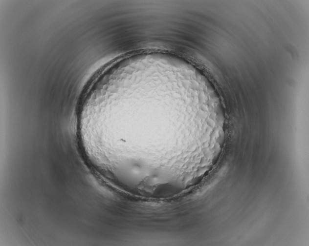 X0000113331125200910051140