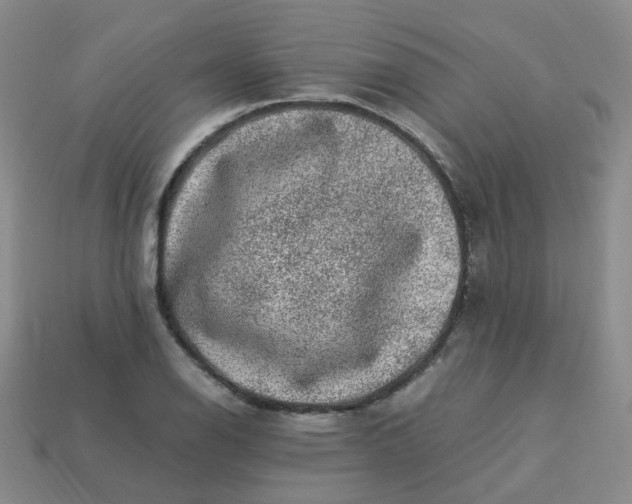 X0000113331126200910051140