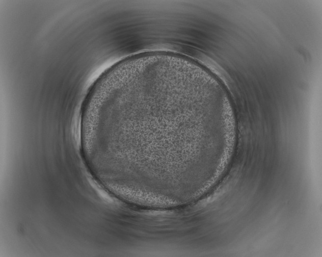X0000113331127200910051140