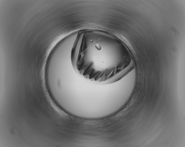 X0000113331128200910051140