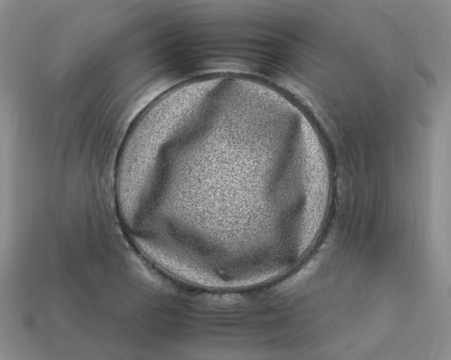 X0000113331129200910051140