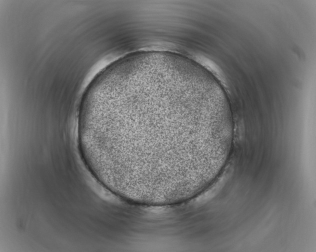 X0000113331130200910051140