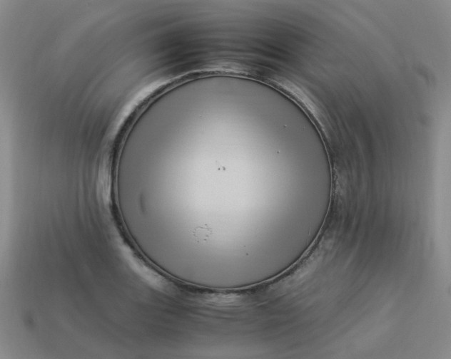 X0000113331131200910051140