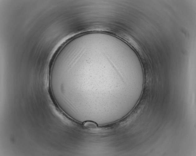 X0000113331132200910051141