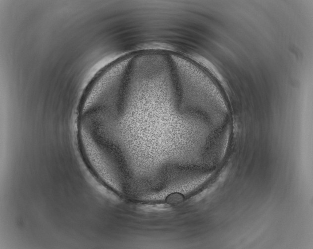X0000113331133200910051141