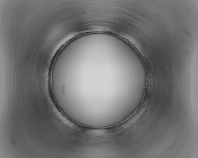X0000113331134200910051141