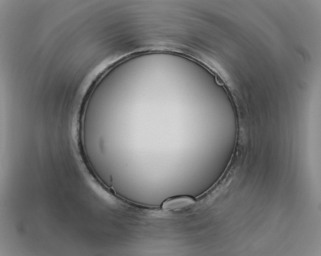 X0000113331136200910051141