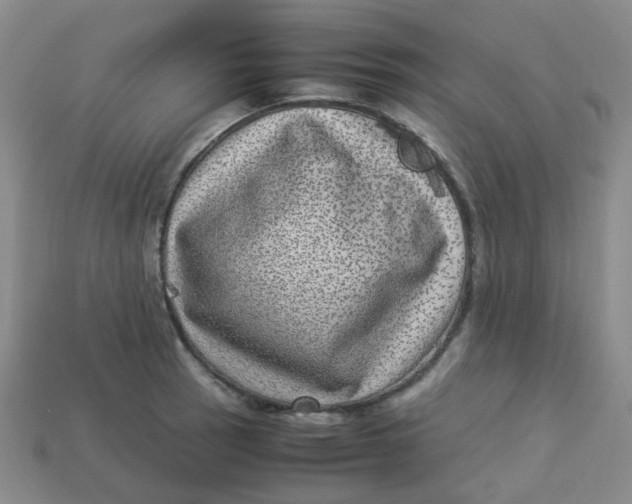 X0000113331137200910051141