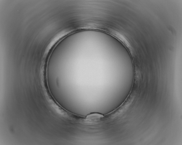X0000113331138200910051141