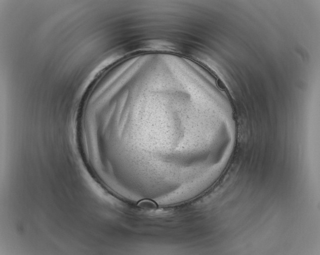 X0000113331139200910051141