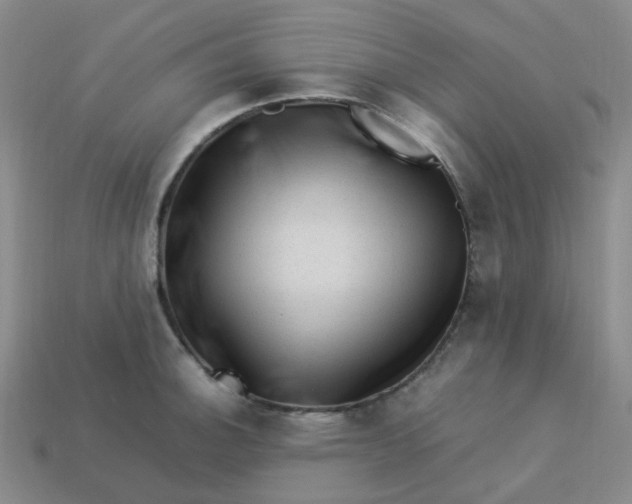 X0000113331140200910051141