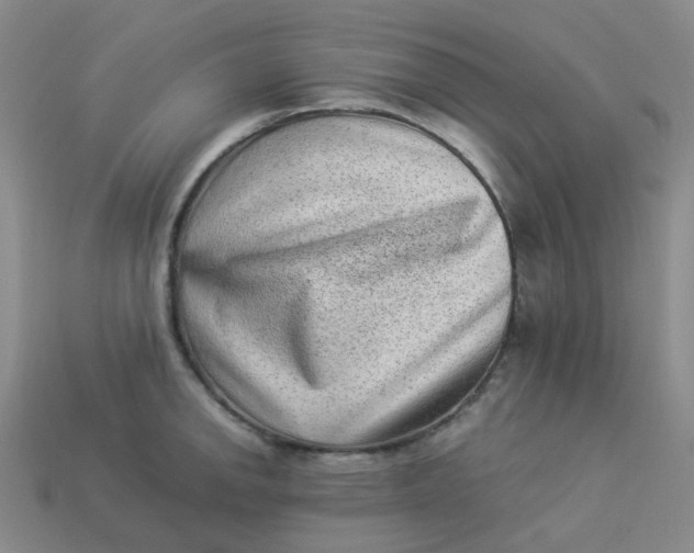 X0000113331142200910051141