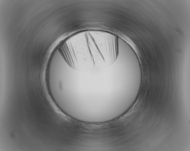 X0000113331144200910051141