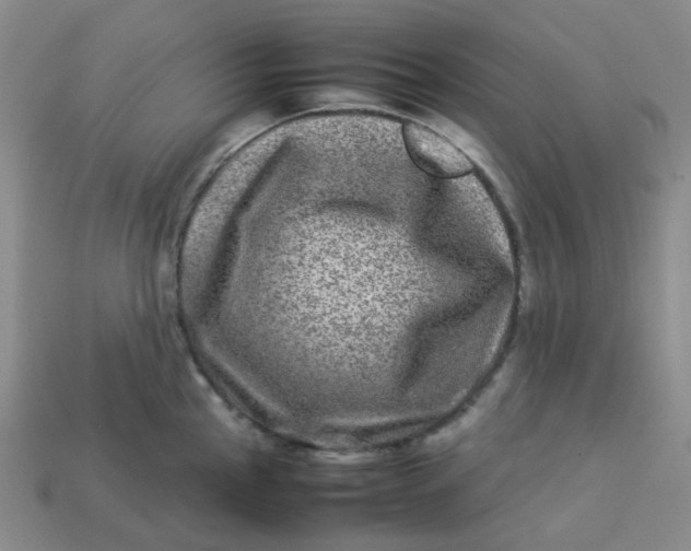 X0000113331145200910051141